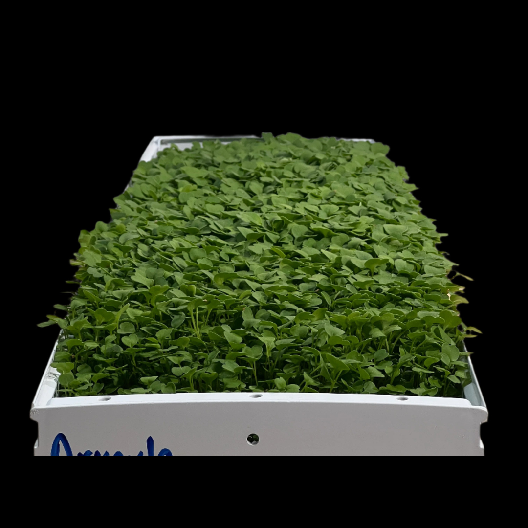 Reusable Grow Mat  9in x 72in
