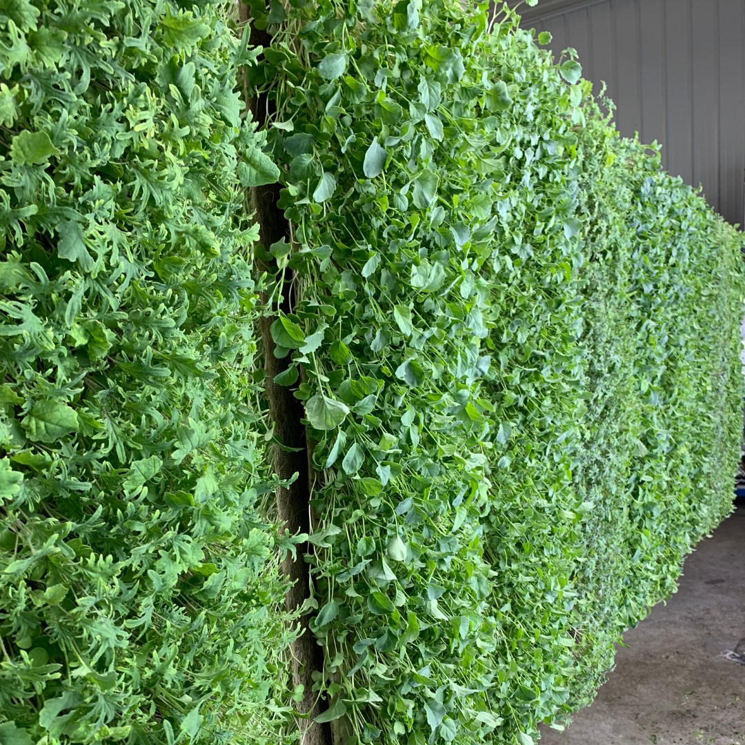 Standard Grow Mat 10in x 20in