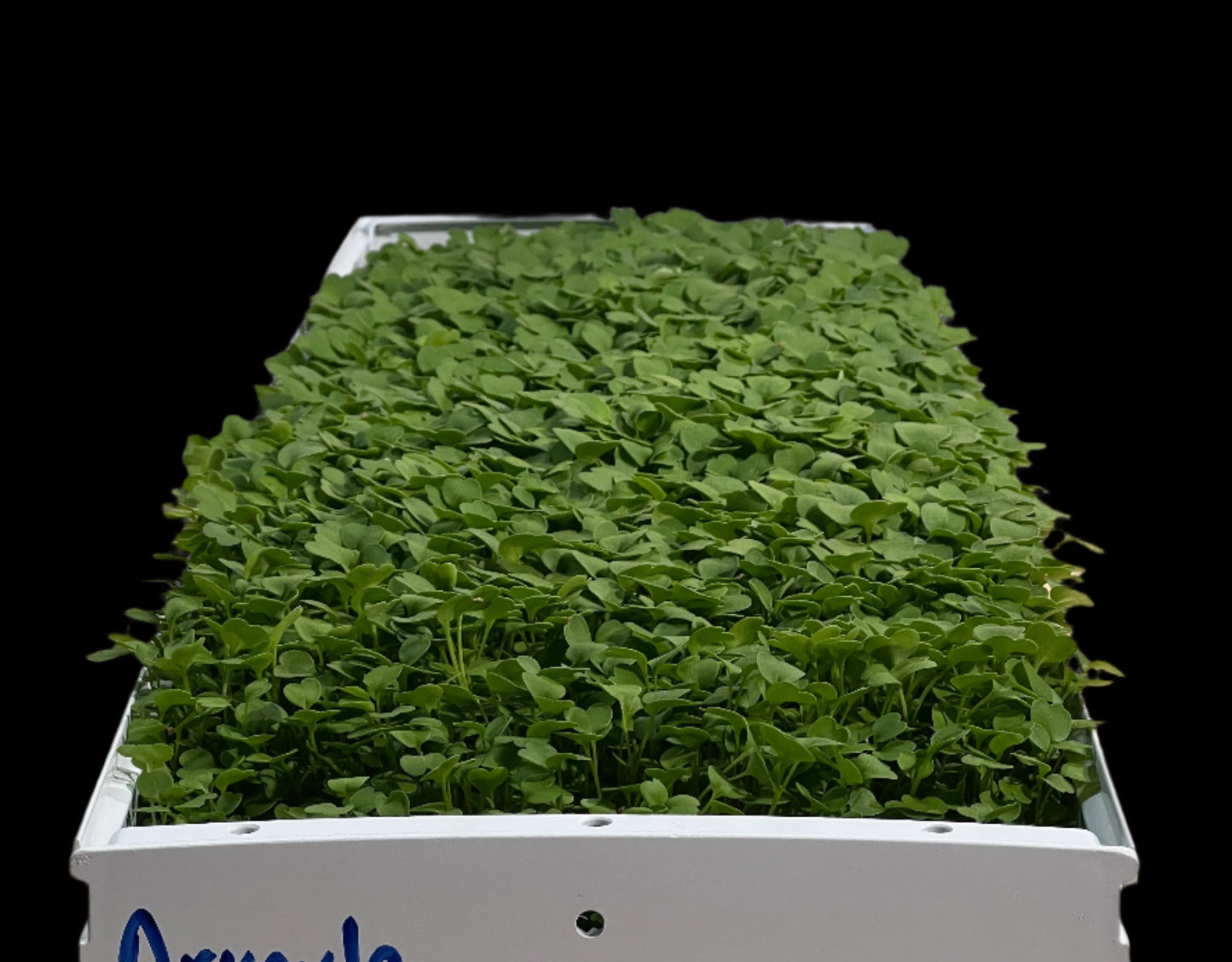 Hydro Channel - 9in x 30in