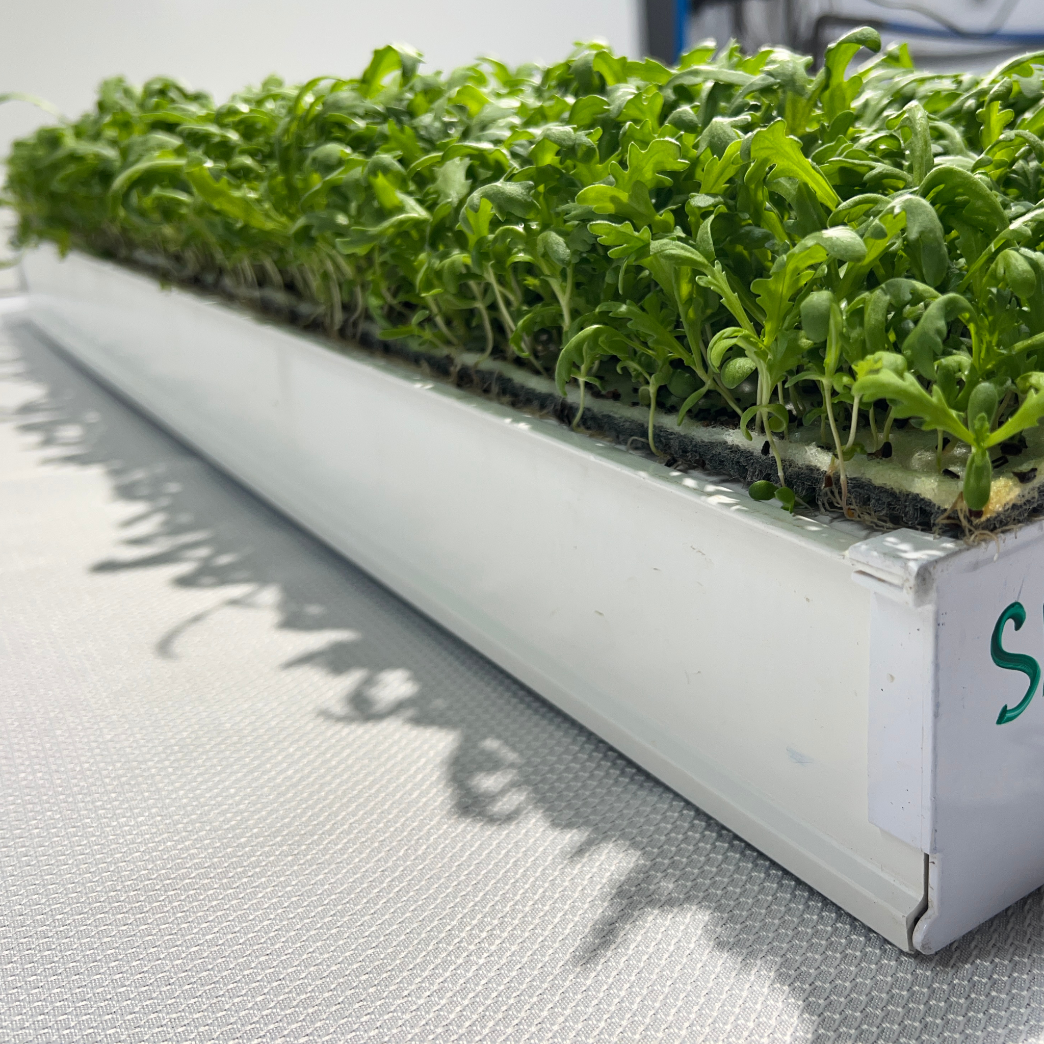 Image of Grow Channels Built for Serious Production