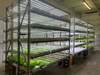 Image of Commercial Production Rack