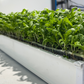 Reusable Grow Mat 10in x 20in