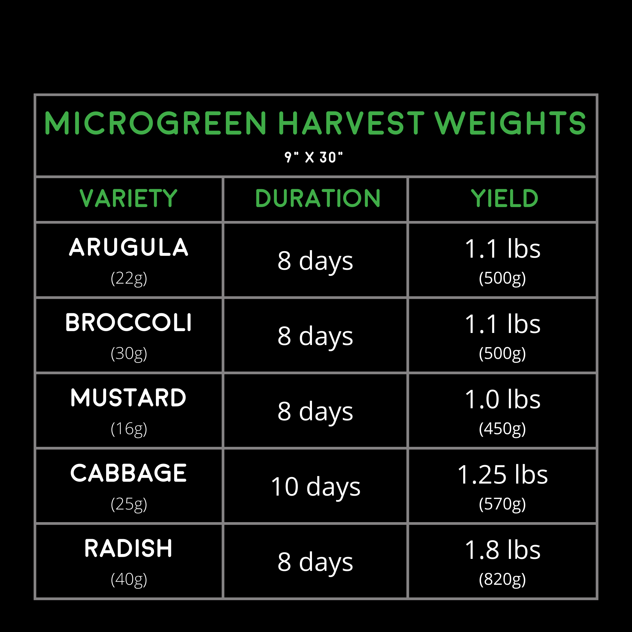 Image of Hydroponic Autokit