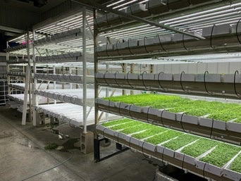 Image of Commercial Production Rack