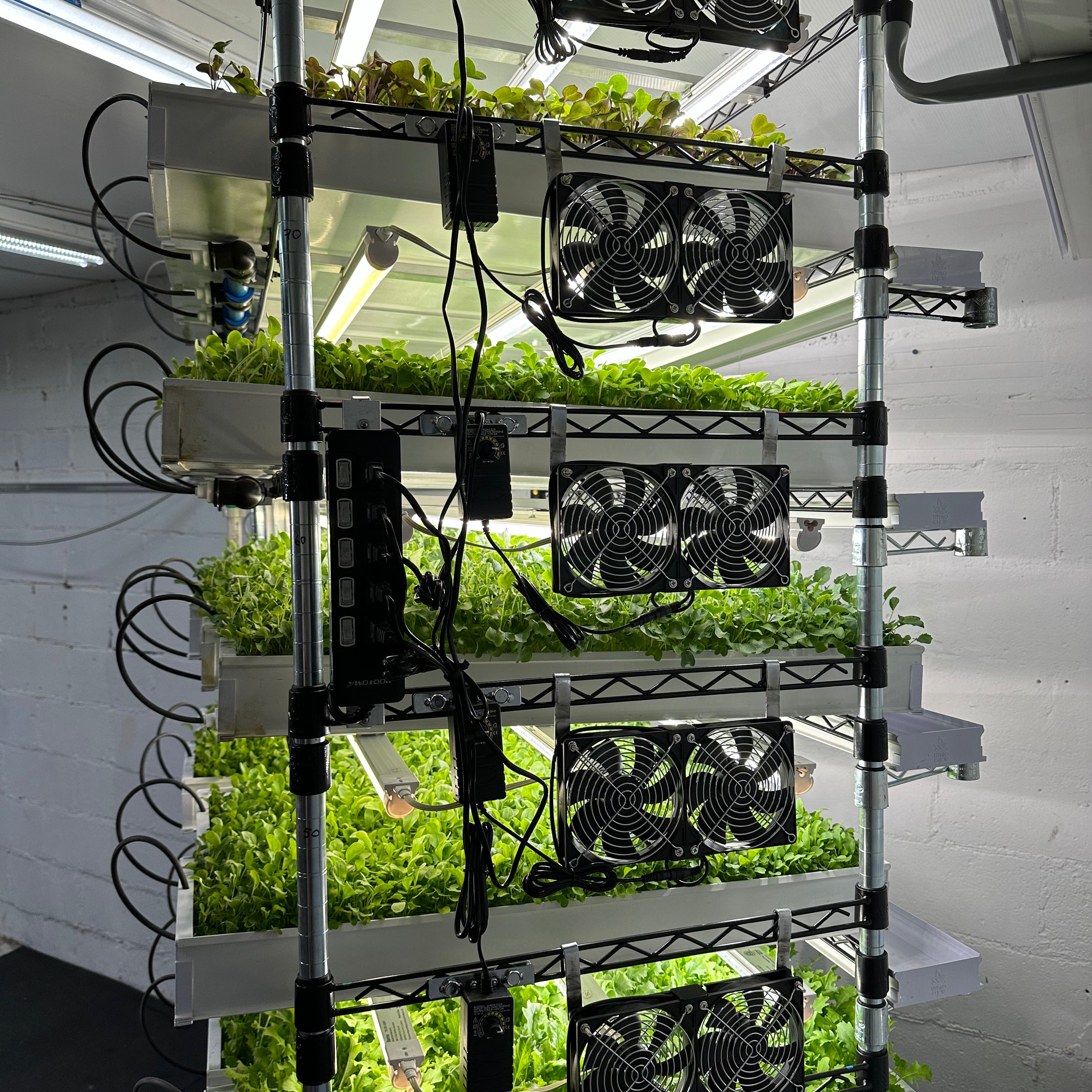 Image of High Intensity Grow Fans (Triple)