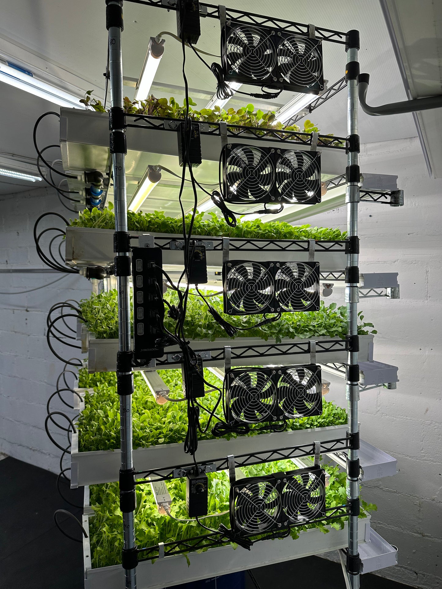 Grow Rack Fans