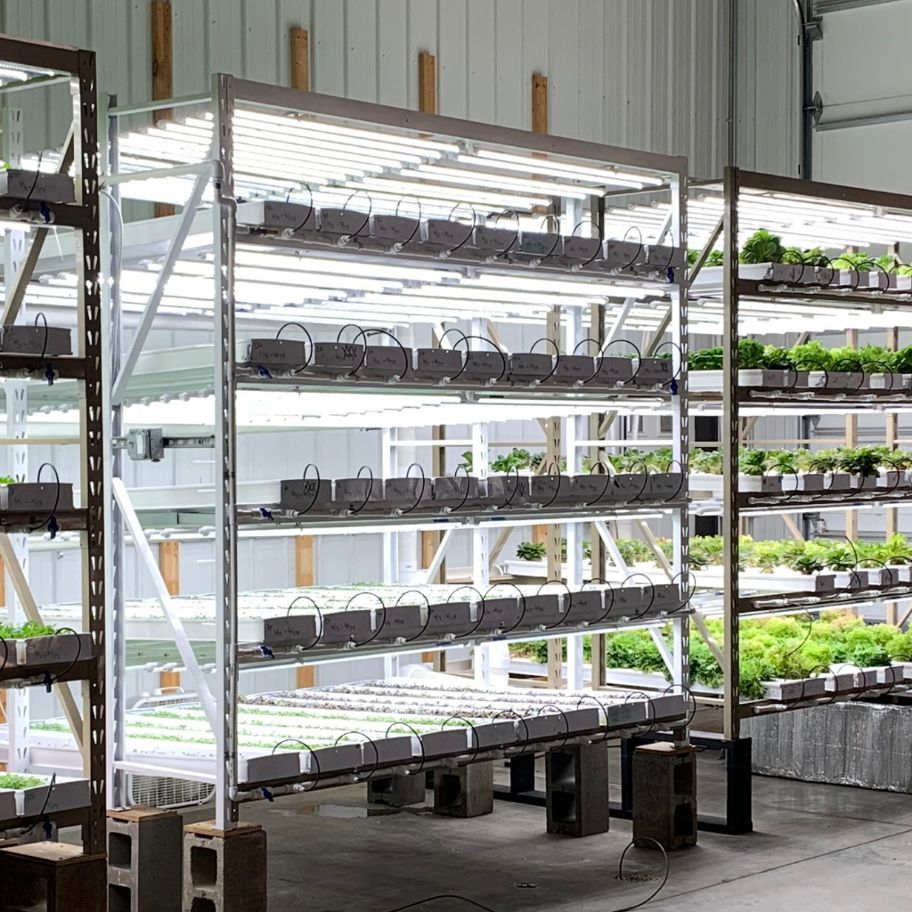 Image of Commercial Production Rack