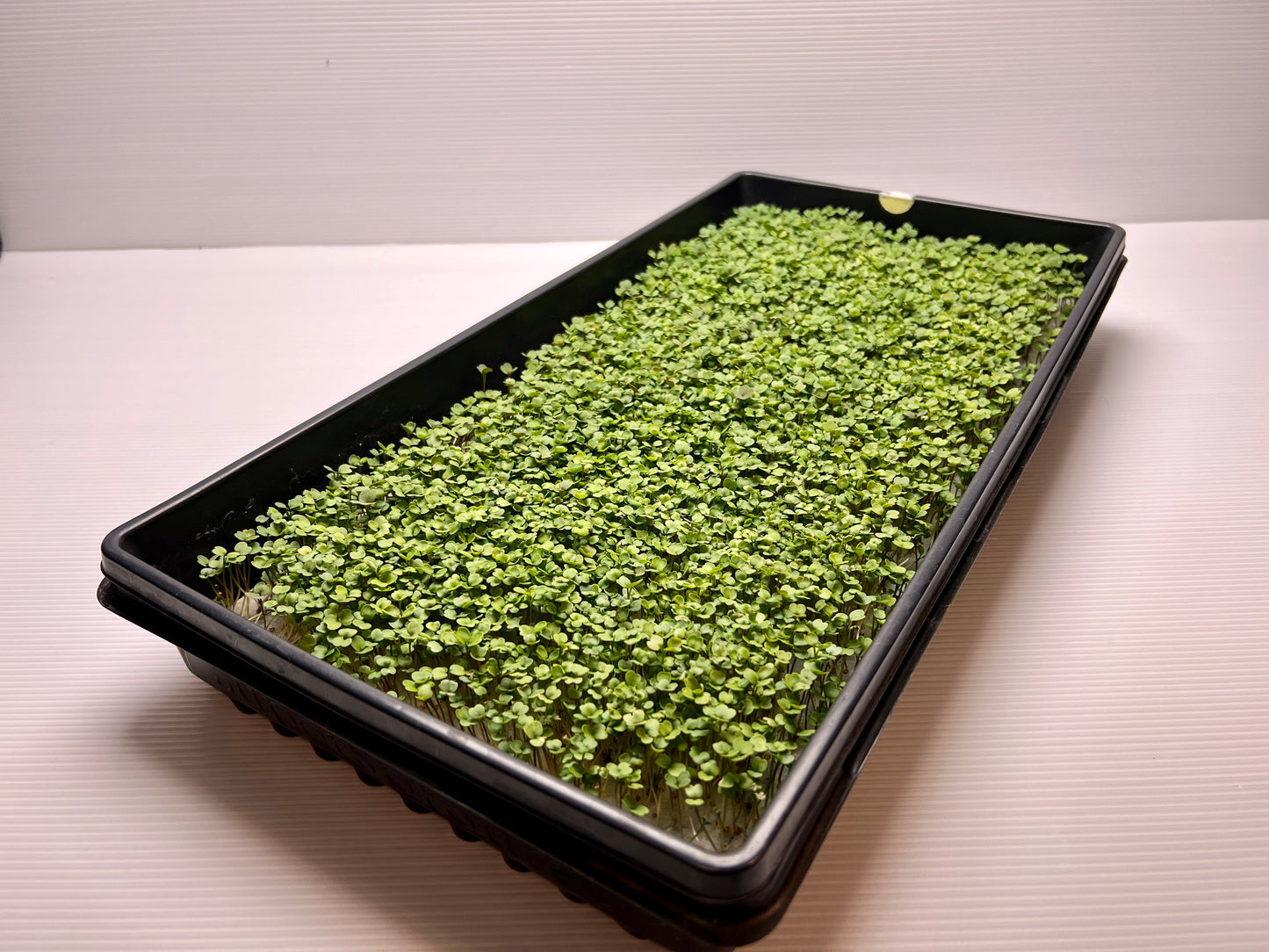 98cm x 36cm Reusable Grow Mat