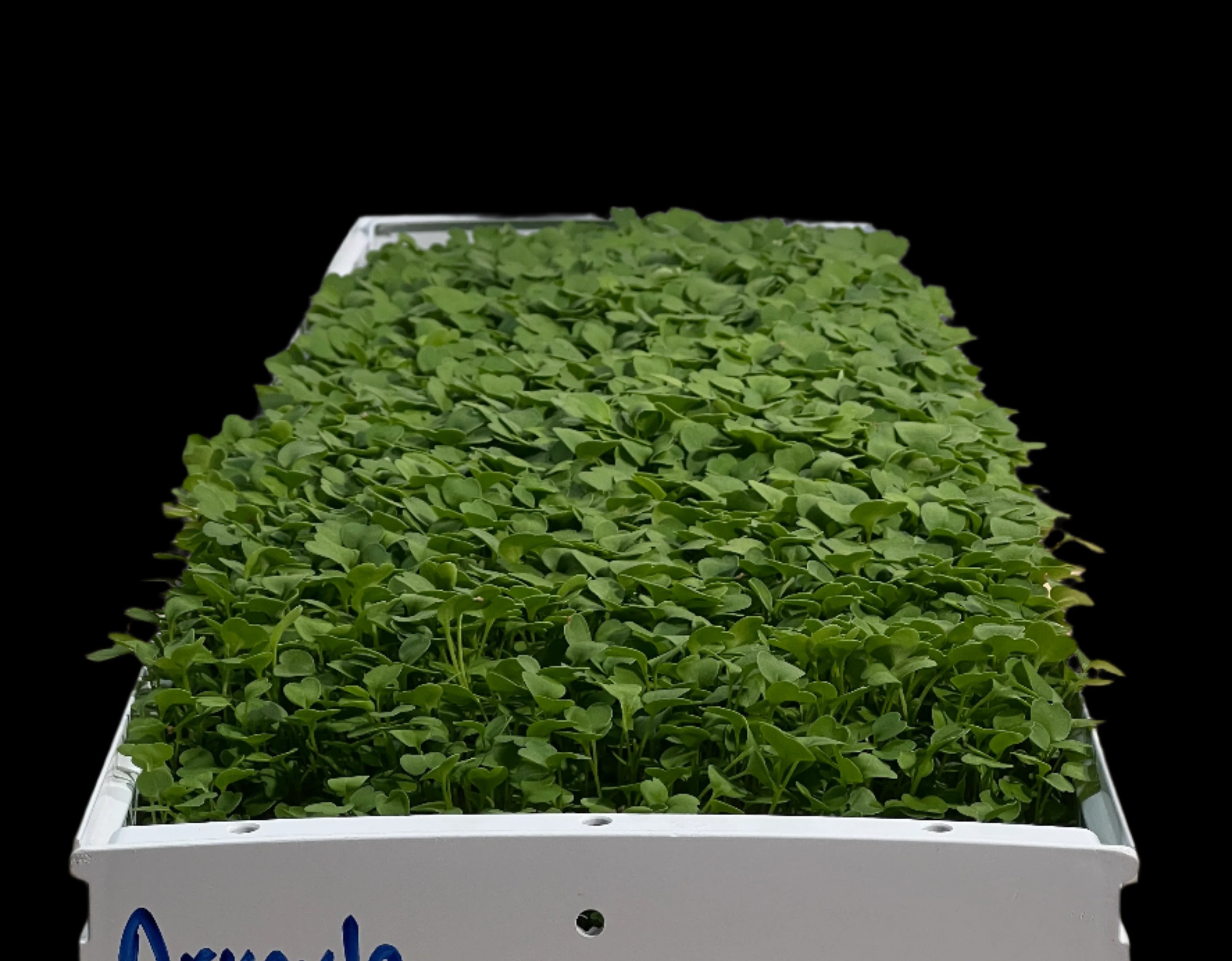 Image of Hydro Channel - 9in x 30in