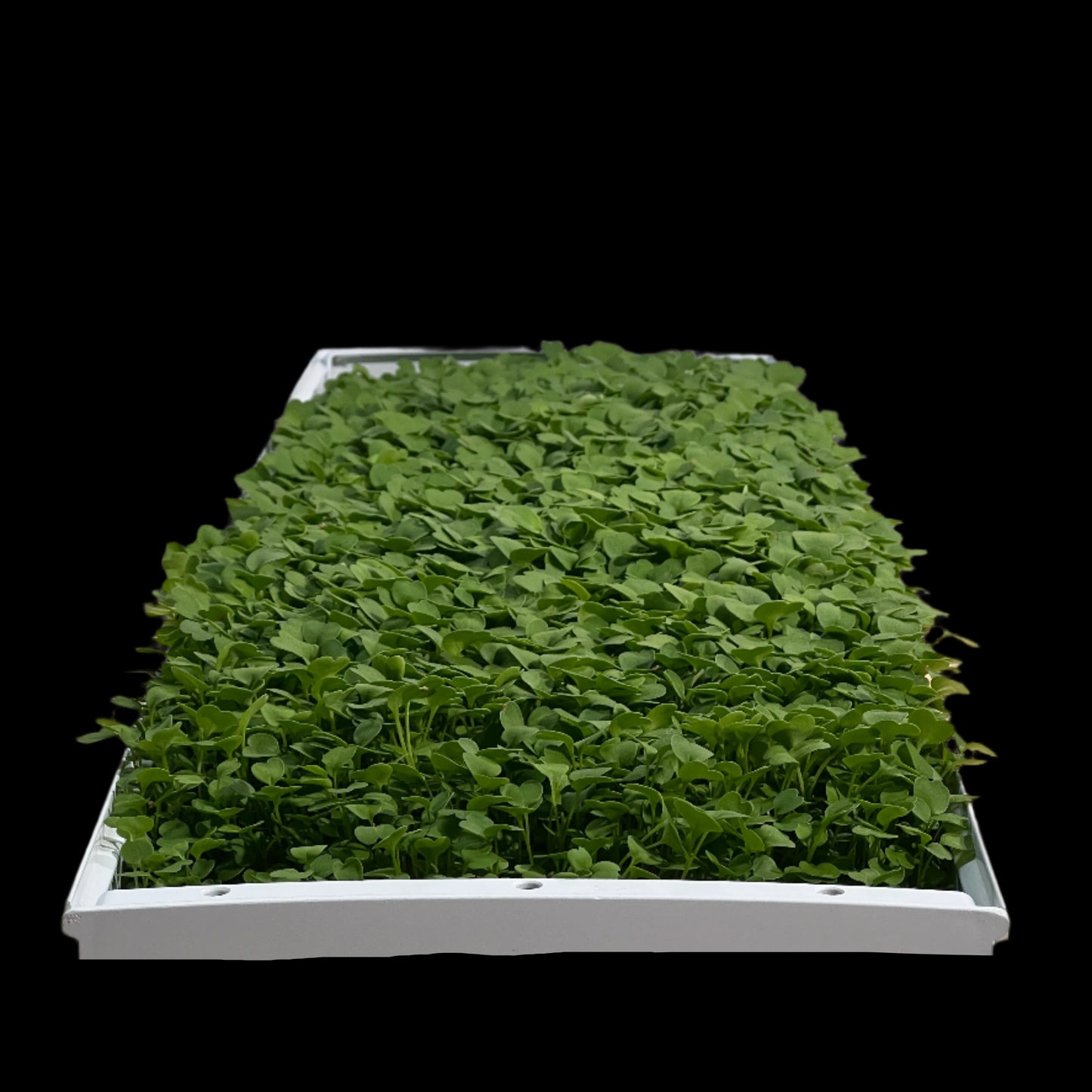 10" x 40" Premium Grow Mat