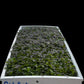 9" x 36" Premium Grow Mat