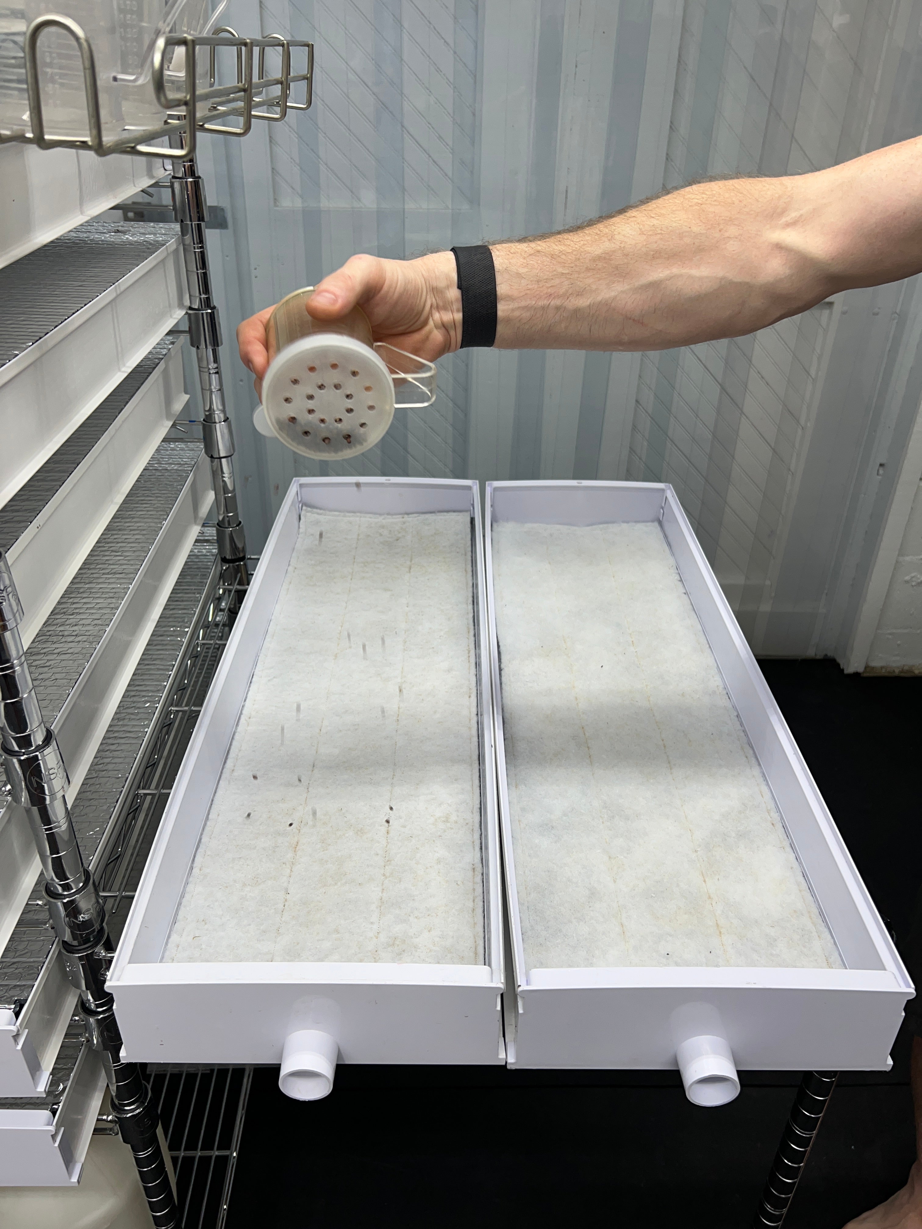 Image of Germination Workstation