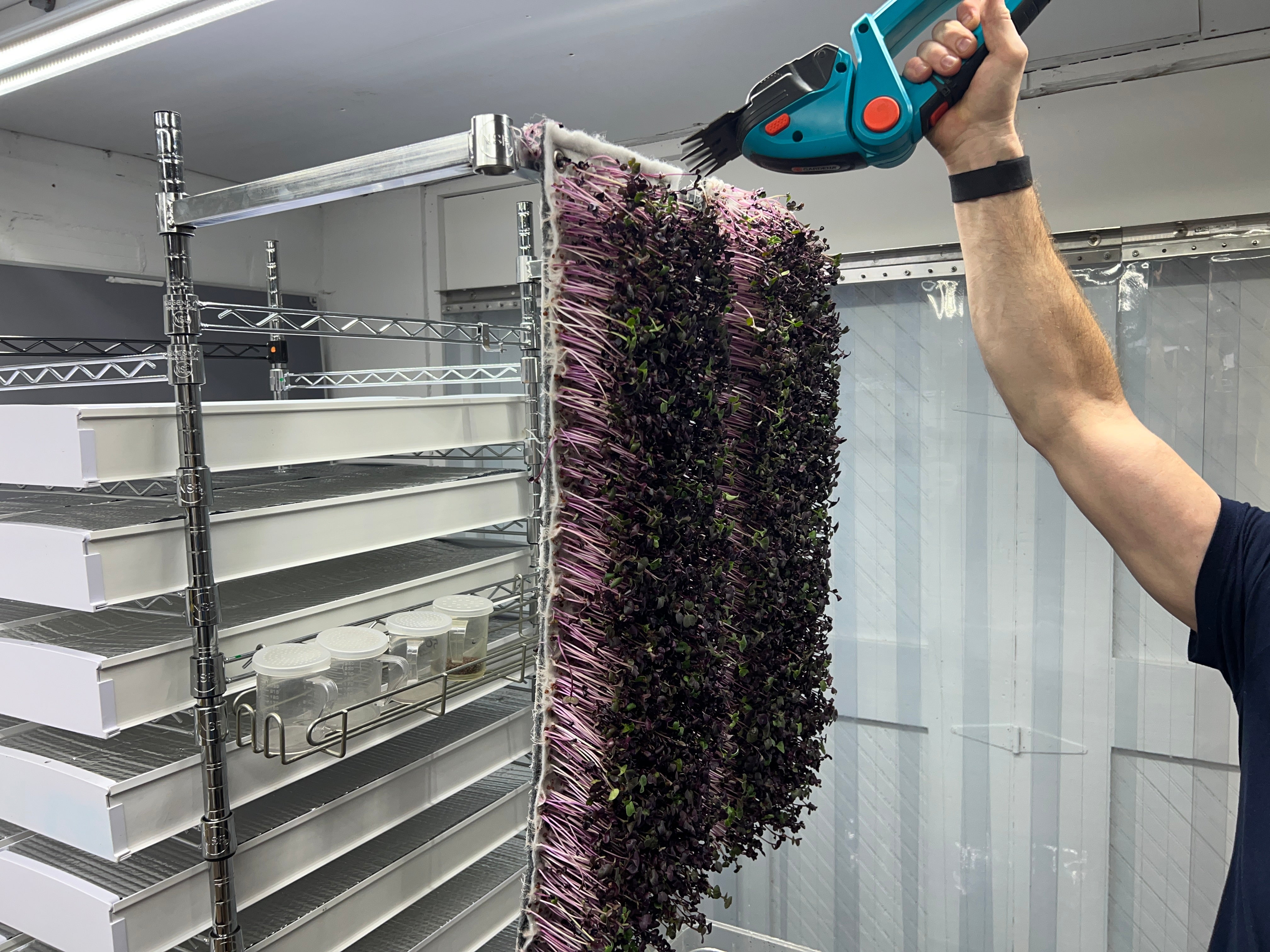 Image of Germination Workstation