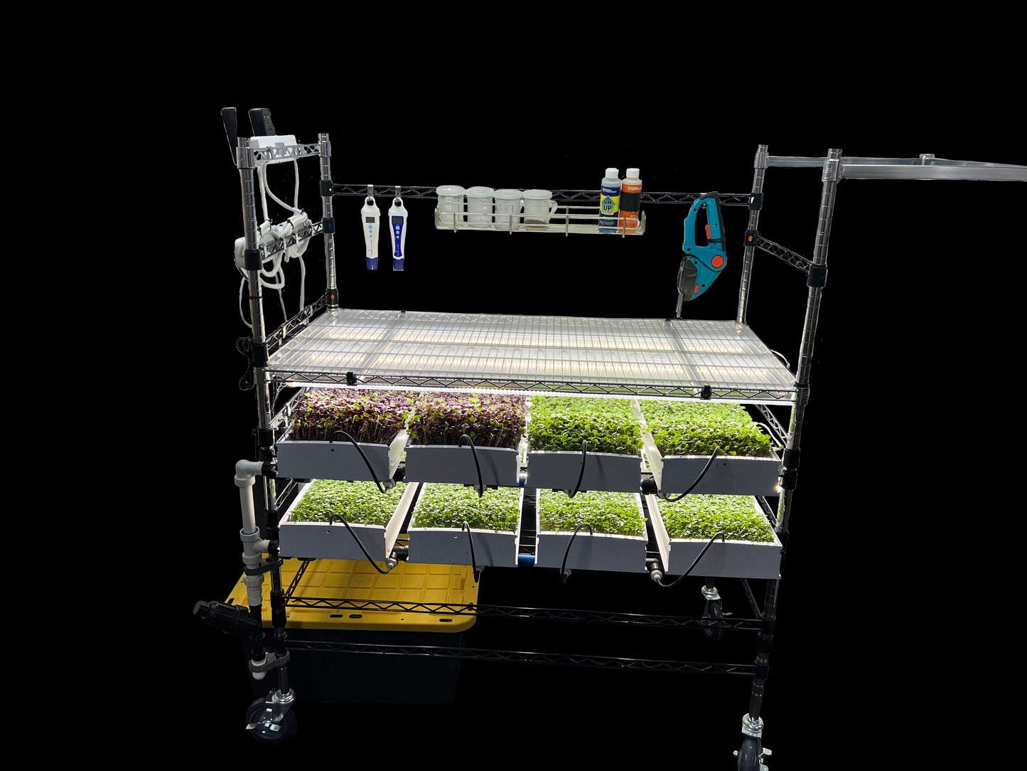 Microgreen StarterKit