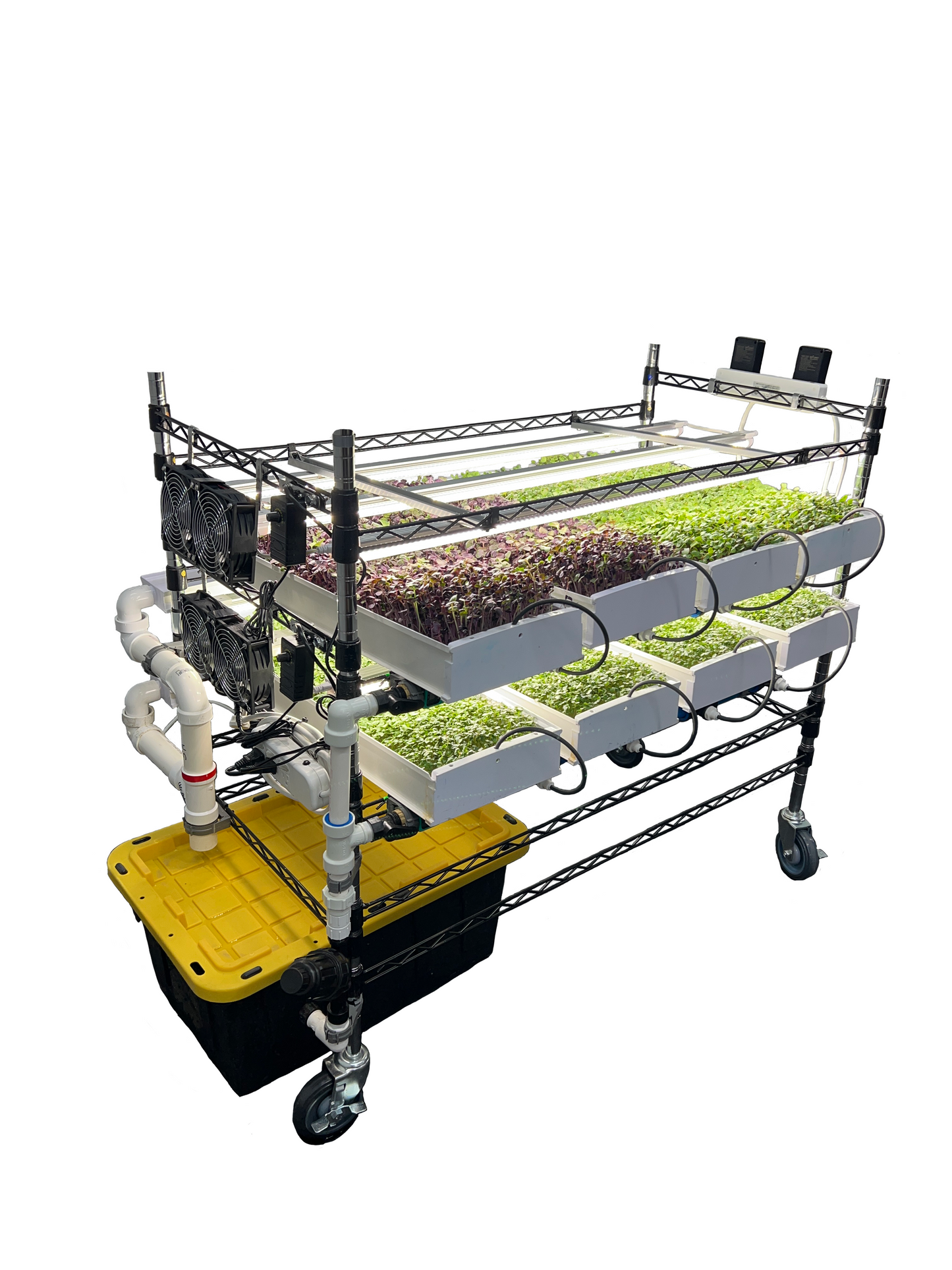 Microgreen StarterKit