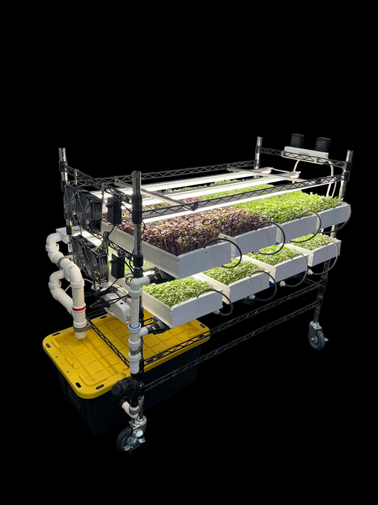 Microgreen StarterKit