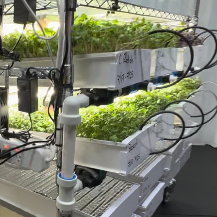 Image of Baby greens growing in hydroponic channels on two lit levels, with drip lines feeding each channel