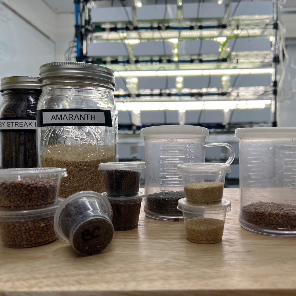 Seed preparation in ramekins