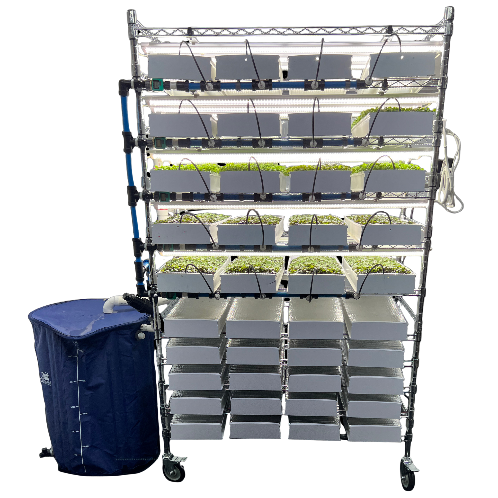 Growing Systems – Urban Greens