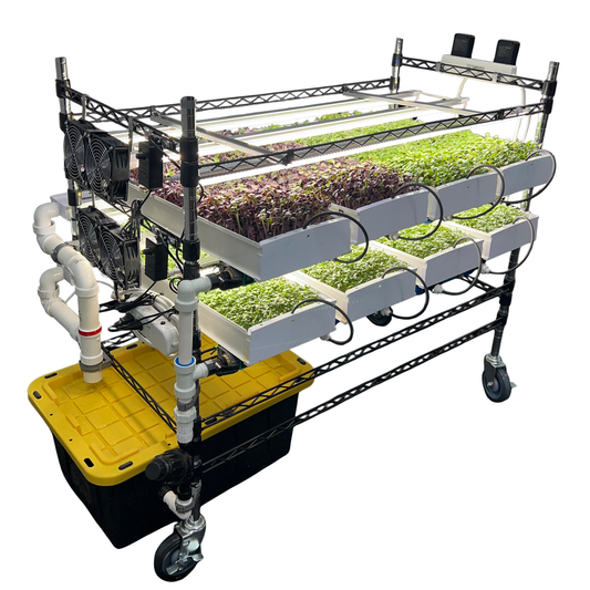 Growing Systems – Urban Greens