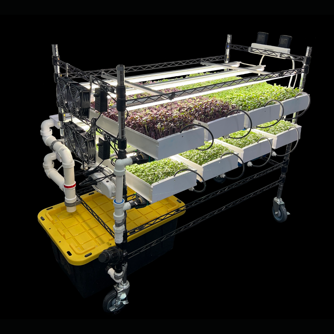 Image of Microgreen StarterKit