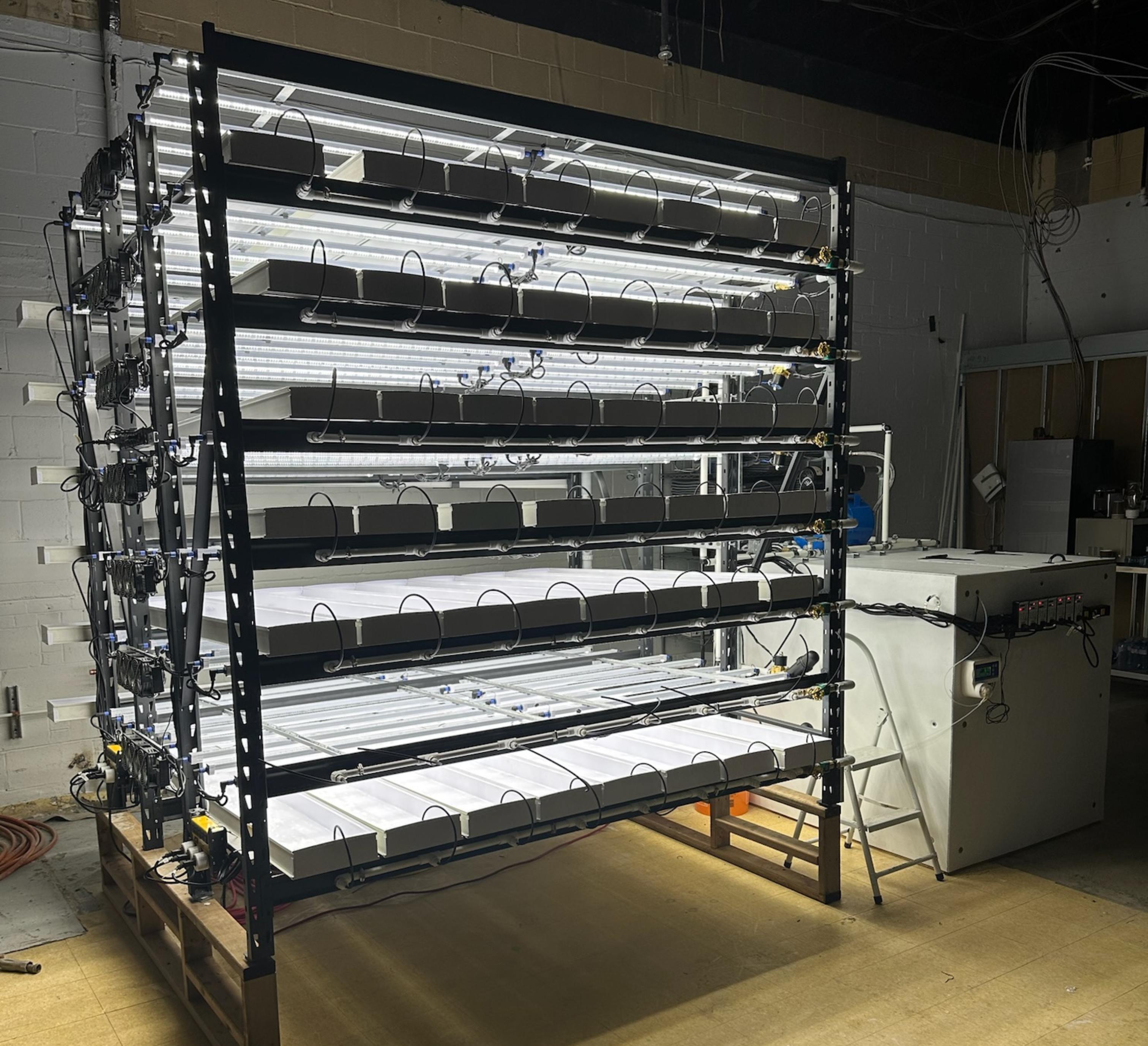 Commercial Production Rack | Large Scale Hydroponic Microgreen System ...