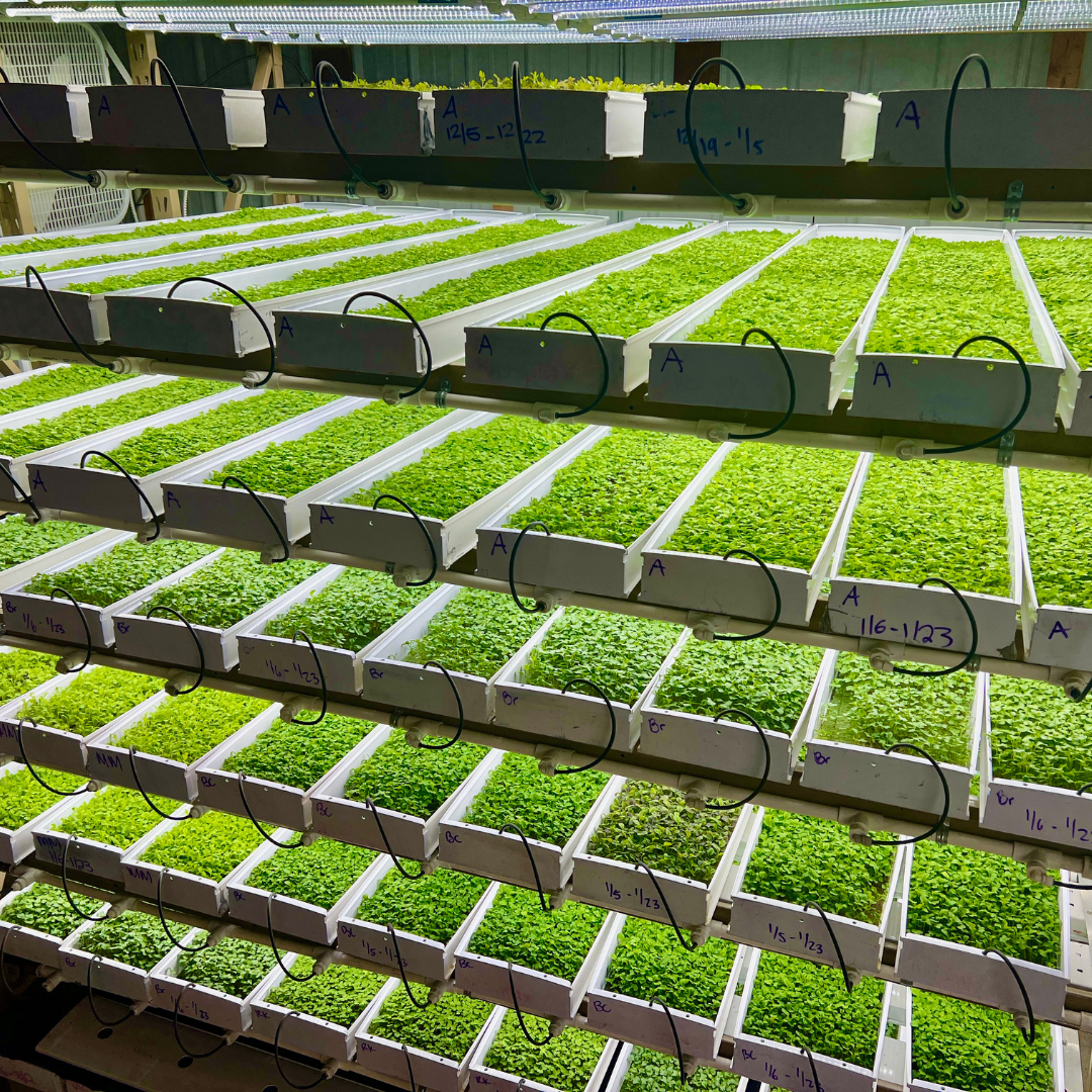 Image of Hydro Channel - 9in x 30in