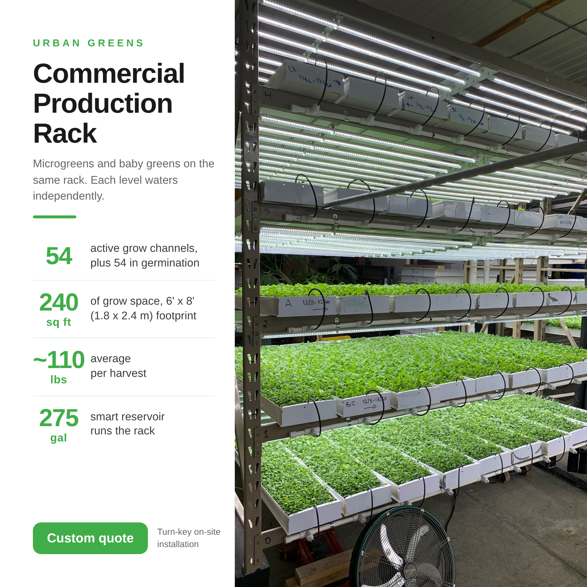 Image of Commercial Production Rack