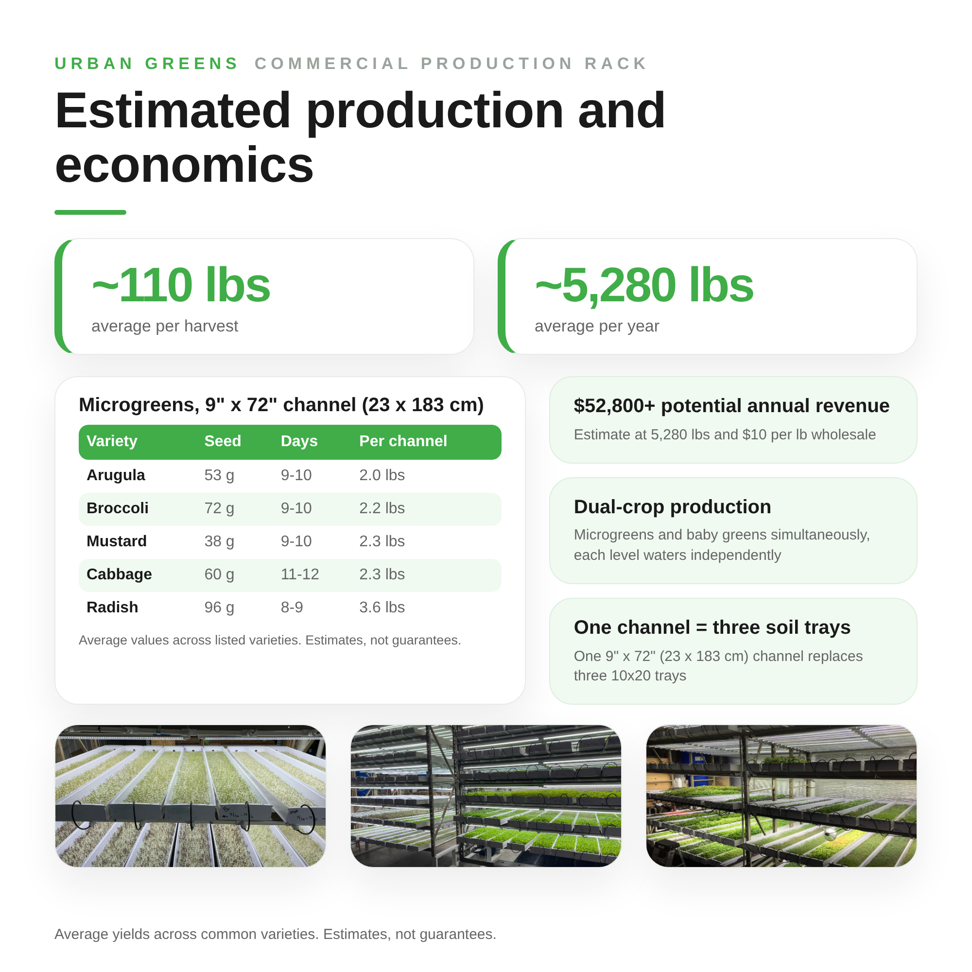Image of Commercial Production Rack
